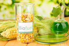 Borghastan biofuel availability